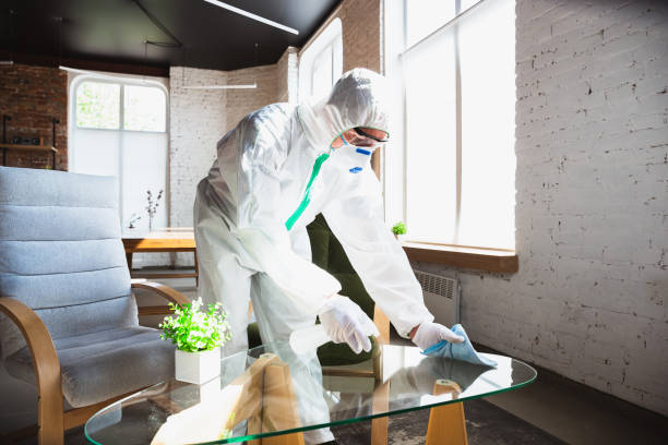 Best Asbestos and Lead Testing During Mold Inspection  in USA